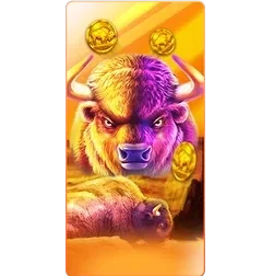 Buffalo
King